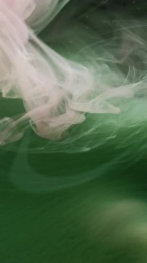 Dikey video. Duman bükme. Sis boyası. Siyah arkaplanda yüzen yeşil grunge sis parçacıkları. Renkli bulut suyu soyut al Blur dumanı.