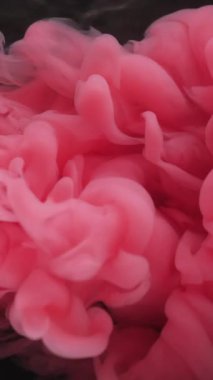 Dikey video. Duman patlaması. Boya yayılmış. Kırmızı, pembe, puf puf, kıvrımlı, siyah arka plana sıçramış. Odaklanmamış sanat soyut akış görüntüsü.