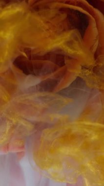 Dikey video. Mürekkep çiçeği. Su yaprakları. Odaklanmamış kırmızı çok renkli gül simli parçacıklar soyut sanat arka planında boya dumanı karışımı.