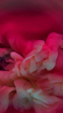 Dikey video. Mürekkep akışı. Duman spreyi. Sarı puf lekesi pembe mor kırmızı sanat sıvısı girdabına dökülmüş. Renkli fantezi soyut arkaplan.