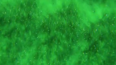 Parıldayan parıltı. Bulanık renk parıltısı. Mor mavi, kırmızı, pırıl pırıl bir lens. Soyut, ışıldayan bokeh ışık arka planında hareket ediyor..