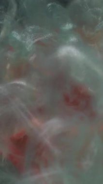 Dikey video. Gül arka planı. Köpüklü sıvı. Odaklanmamış kırmızı turuncu renk çiçek açar bitki yaprakları parlak ıslak boya soyut parlak sanat eserlerine sıçrar..