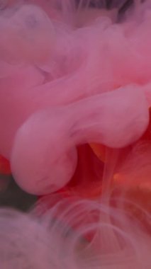 Dikey video. Puslu bir arkaplan. Su çiçeği boyası. Odaklanmamış pembe turuncu bitki yaprakları dumanı soyut parlak sanat dalgasıyla sıçratır..