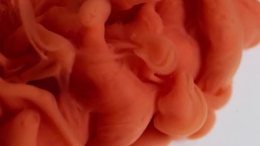 Parlak sis. Boya akışı. Bulanık turuncu girdap kırmızı akrilik emülsiyon duman pigmenti soyut beyaz sanat arka planına yayılıyor.