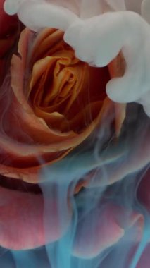 Dikey video. Çiçek yaprakları. Duman boyası sıçraması. Odaklanmamış mavi, kırmızı, gül desenli, soyut sanat arka planında yüzen bitki mürekkebi..