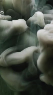 Dikey video. Sis dalgası. Fantezi dumanı. Yeşil gri mürekkep sıvı duman girdap fırtına patlaması. Duvak boyası, soyut, gizemli, çözünmüş arkaplan rengini harmanlıyor.