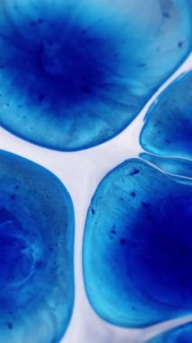 Dikey video. Boya parçacıkları. Parlak su. Bulanık mavi pigment sıvısı ıslak doku lekesi soyut sanat eseri beyaz sütlü arka plana dökülüyor..