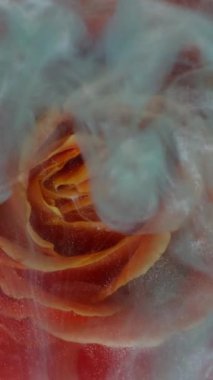 Dikey video. Çiçek arkaplan. Boya sıçraması. Suyun içindeki mavi turuncu renkli yapraklar duman bulutu buhar soyut sanata yayılıyor..