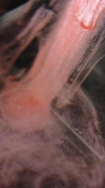 Dikey video. Boya damlası. Işıldayan damlalar. Suyun içinde kristal cam piramidin üzerinde kayan turuncu simli damlalar. Odaklanamayan siyah özgün arkaplan dumanı.