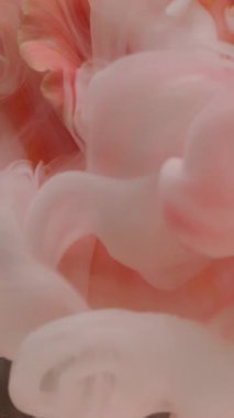 Dikey video. Boya çiçeği. Buhar bulutu. Odaklanmamış pembe beyaz gül yaprakları mürekkep çiçekleri parlak soyut sanat arka planında doğa dokusu çiçek açar.