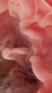 Dikey video. Sıvı patlaması. Puf boyası. Şeftali bej renkli sanat sıvısında pembe buhar damlası. Etkisiz hale getirilmiş renkli su soyut arkaplanı.