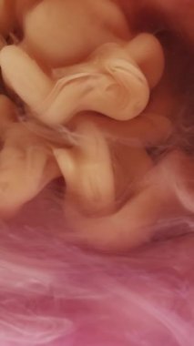 Dikey video. Suluboya kokusu. Sıvı sıçraması. Şeftali rengi bej rengi boya sis dalgası girdapları soyut arkaplan karışımı. Bulanık boya çözeltisi.