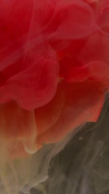 Dikey video. Çiçek mürekkebi. Çiçek boyası. Odaklanmamış kırmızı gül rengi, gül rengi, sıvı, çiçek, bitki yaprakları, soyut sanat eserleri, parlak arka plan..