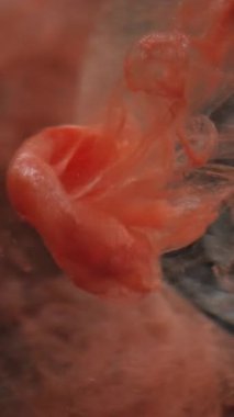 Dikey video. Sanat sıvısı. Acryl sızıntısı. Portakal kırmızısı dumanlı mürekkep lekesi çözünmüş cam üzerine düşüyor kristal kaplı prizma siyah soyut su arka planı.