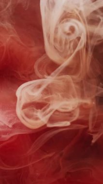 Dikey video. Duman bükme. Sis boyası. Siyah arkaplanda yüzen kırmızı turuncu sis perdesi. Renkli bulut suyu soyut al Blur dumanı.