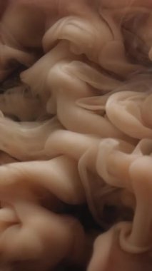 Dikey video. Boya sisi. Boyayla boyanmış. Gri şeftali rengi bulanık mistik sıvının içinde yüzen beyaz bej mürekkep. Sanat dokusu soyut renk sıvı arkaplanı.