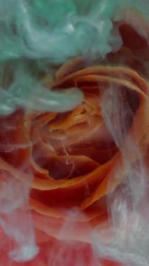 Dikey video. Su damlası gülü. Islak çiçek dokusu. Odaklanmamış mavi turuncu renk bitki yaprakları sıvı bulut doğa boyası soyut sanat arka planında yüzüyor..