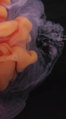 Dikey video. Sis akışı. Duman karışımı. Suya turuncu pembe duman damlası patlaması. Renk bulutu üfleme bulanıklığı siyah arkaplanda soyut doku sıçraması.