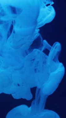 Dikey video. Duman sıçratma boyası. Mürekkep arkaplanı. Soyut yaratıcı sanatta yüzen mavi renkli su bulutu sıvı dokusu.