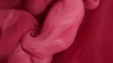 Soyut sis. Mürekkep at. Yaratıcı sanat arka planında yüzen kimyasal suda odaklanmış kırmızı, pembe, bulut rengi boya dokusu.