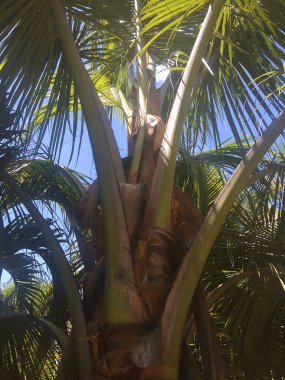 Meksika Körfezi çevresi turistik ve güzel köşeleri ile yolculuk