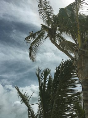 Meksika Körfezi çevresi turistik ve güzel köşeleri ile yolculuk