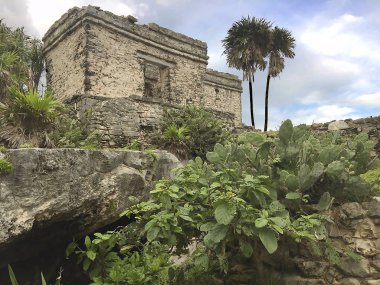 Meksika Körfezi çevresi turistik ve güzel köşeleri ile yolculuk