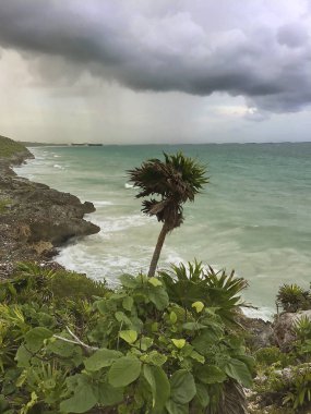 Meksika Körfezi çevresi turistik ve güzel köşeleri ile yolculuk