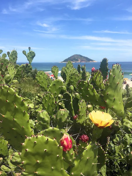 Viaje Través Río Janeiro Con Sus Alrededores Atracciones Rincones Bonitos — Foto de Stock