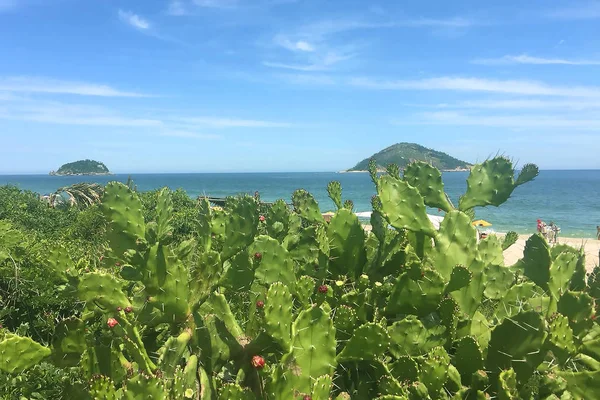 Reis Door Rio Janeiro Met Attracties Van Omgeving Mooie Hoeken — Stockfoto