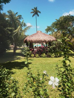 yerler ve Saint lucia doğası