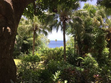 yerler ve Saint lucia doğası