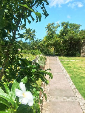 yerler ve Saint lucia doğası