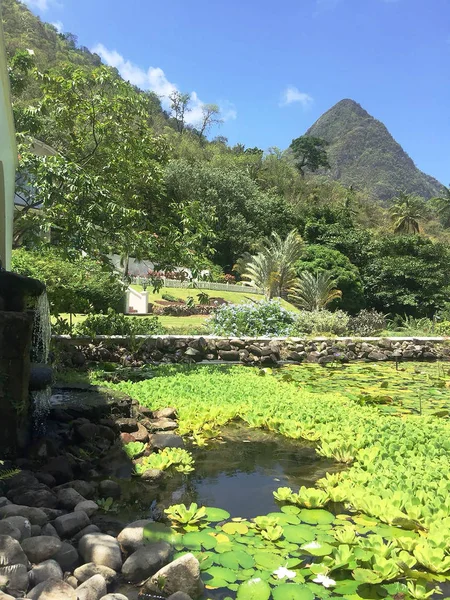 yerler ve Saint lucia doğası