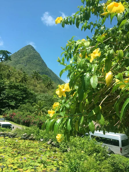 sights and the nature of Saint-lucia