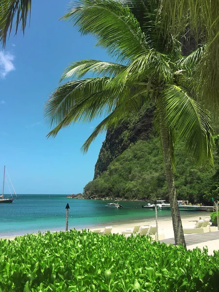 sights and the nature of Saint-lucia