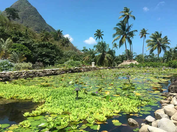 sights and the nature of Saint-lucia