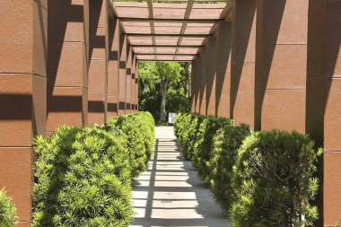 Florida'nın harika köşeleri