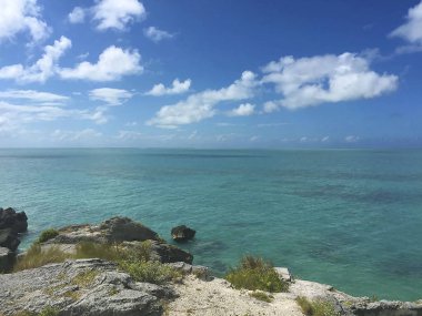 tüm güzel ve eşsiz doğa Bermuda'da konumlar