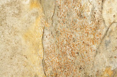 Doku ve arka plan çeşitli türleri, türleri, malzemeler, yapıları.