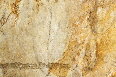 Doku ve arka plan çeşitli türleri, türleri, malzemeler, yapıları.