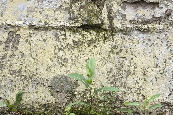 不同类型 结构的纹理和背景 — 图库照片