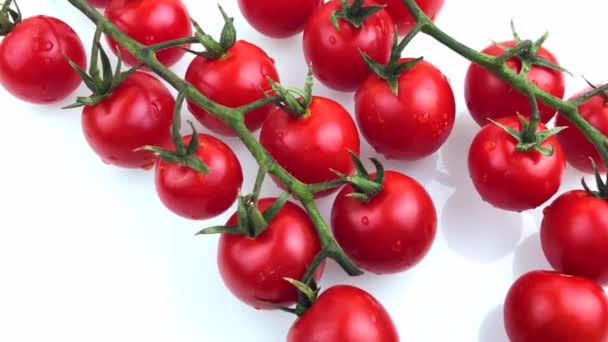 Tomaten Kirsche auf weißem Hintergrund — Stockvideo