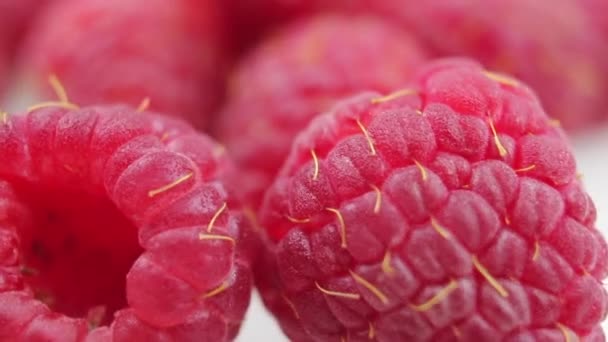 Raspberry Makro Latar Belakang Putih — Stok Video