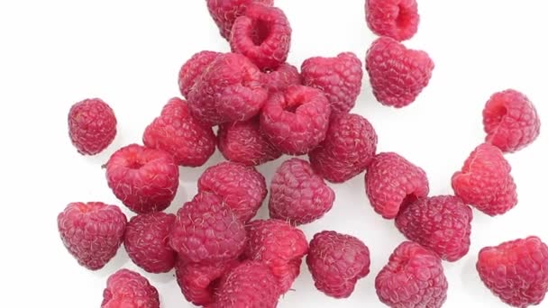 Framboise Sur Fond Blanc Macro — Video