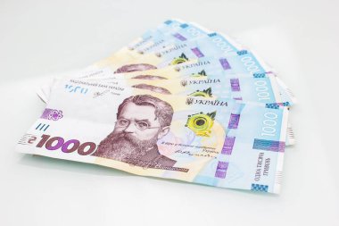 Beyaz arka planda Ukrayna Hryvnia banknotu