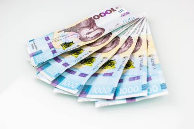 Beyaz arka planda Ukrayna Hryvnia banknotu