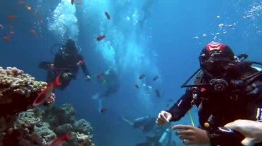 Scuba dalgıcı ve mercan resifi