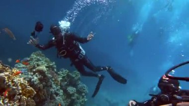 Scuba dalgıcı ve mercan resifi