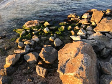 Deniz taşlarının üzerinde gün batımı alglerle kaplıydı.
